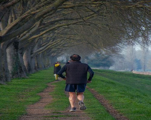man walking on trail outdoor active lifestyle